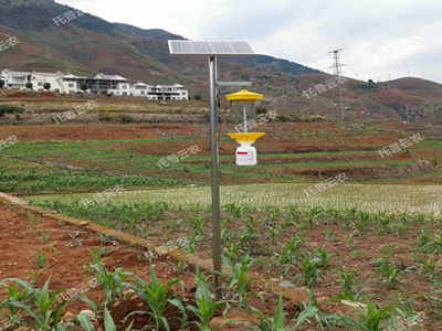 太陽(yáng)能LED殺蟲(chóng)燈介紹